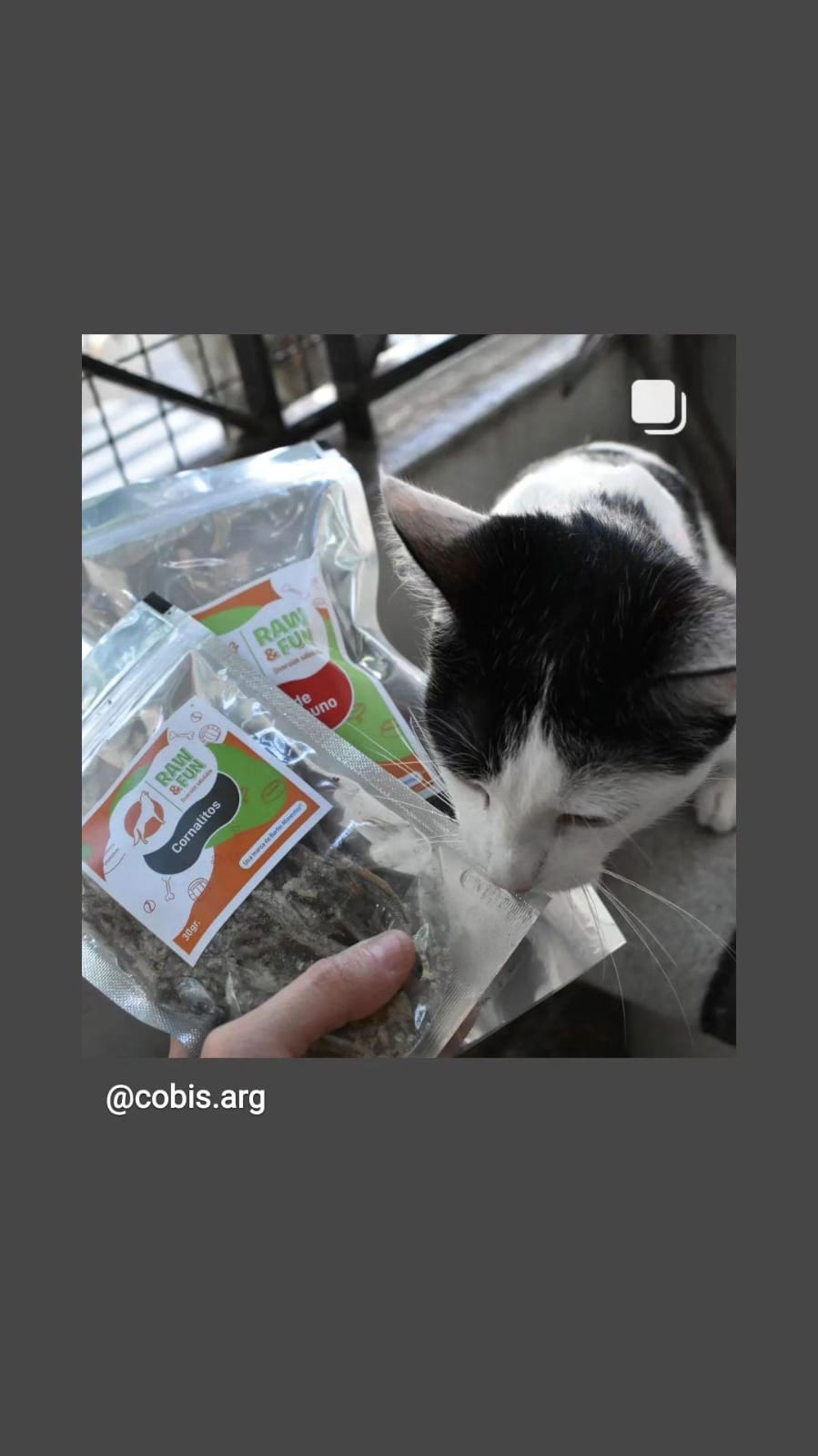 Mascota feliz con productos RAW