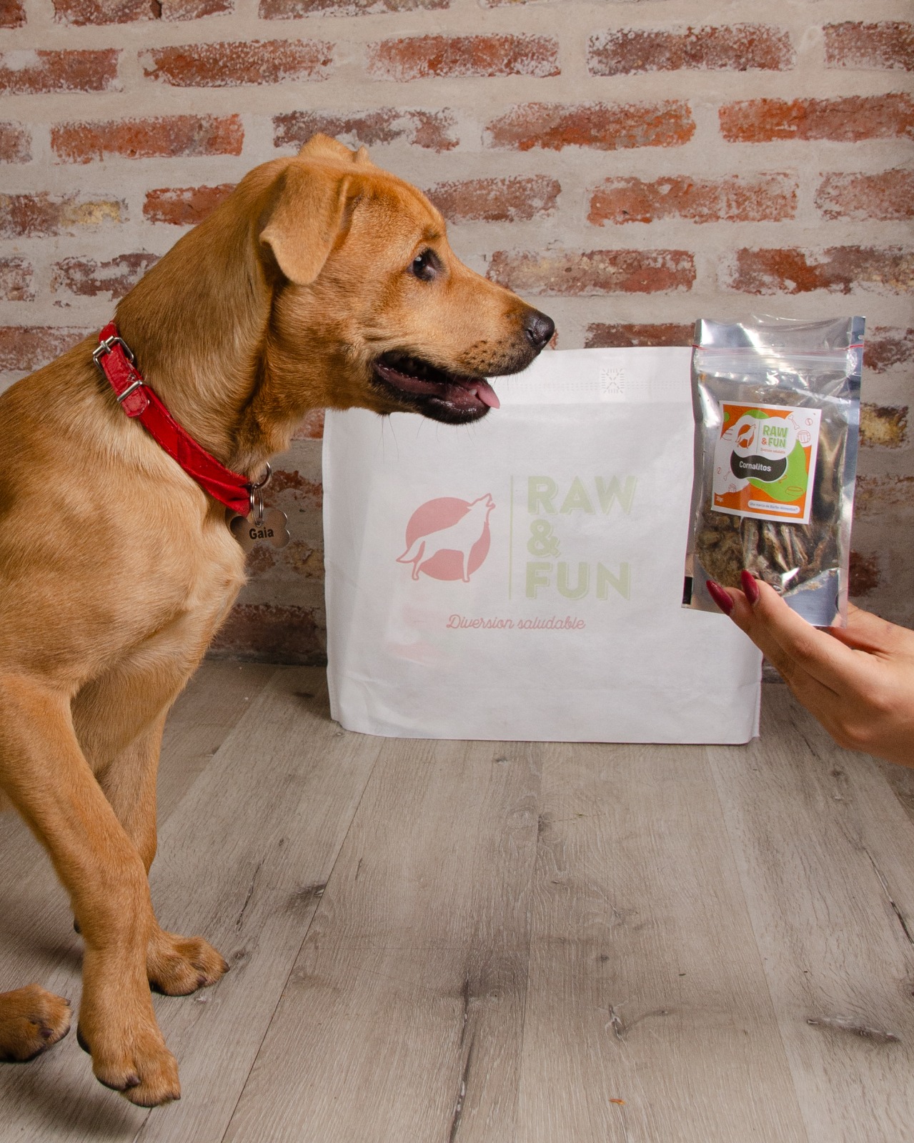 Imagen de mascota feliz